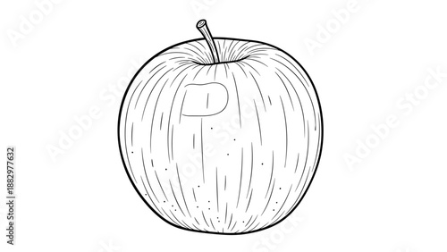 Hand-drawn apple sketch with detailed line art on white background