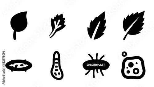 Stylized plant cells and leaf silhouettes with chloroplast icons for biological themes
