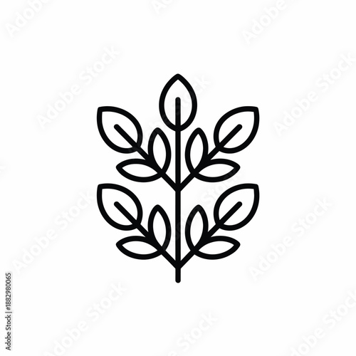 Simple leafy plant illustration isolated on white background, Vector, illustration