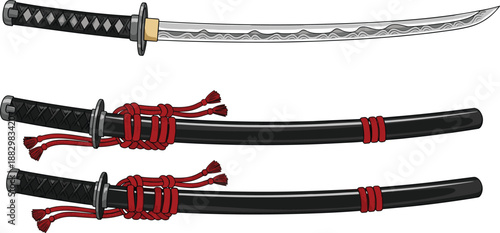 Traditional Japanese katana sword illustration with detailed blade, scabbard, and cord accents, ideal for martial arts, samurai culture, and weapon design visuals.