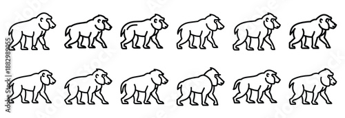 Collection of  baboon troop walk  line art icons on white background. Set of animal linear symbols. Vector illustration.