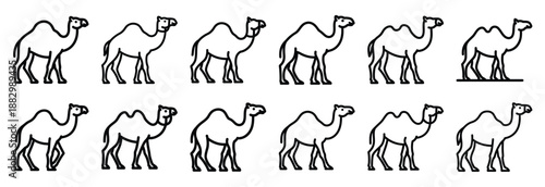 Collection of  camel desert walk  line art icons on white background. Set of animal linear symbols. Vector illustration.