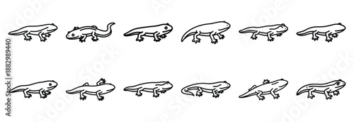 Collection of  caecilian limbless amphibian  line art icons on white background. Set of animal linear symbols. Vector illustration.