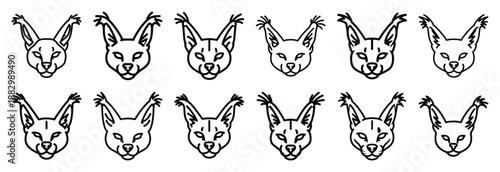 Collection of  caracal ear tufts  line art icons on white background. Set of animal linear symbols. Vector illustration.