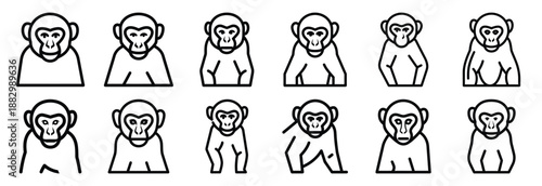 Collection of  colobus monkey black  line art icons on white background. Set of animal linear symbols. Vector illustration.