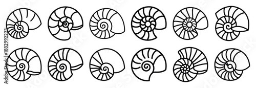 Collection of  nautilus spiral shell  line art icons on white background. Set of animal linear symbols. Vector illustration.