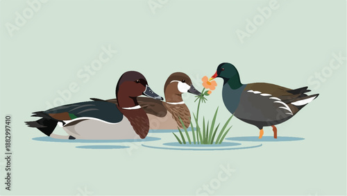 Three ducks swim in calm water, one nibbles a flower