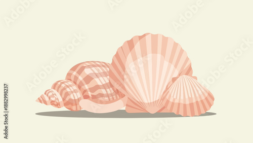 Three seashells in soft peach tones on a pale background