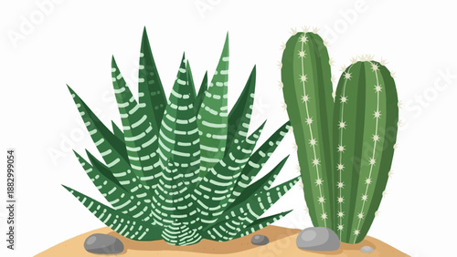 Stylized succulent and cactus plants on sandy ground