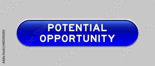 Blue color capsule shape button with word potential opportunity on gray background