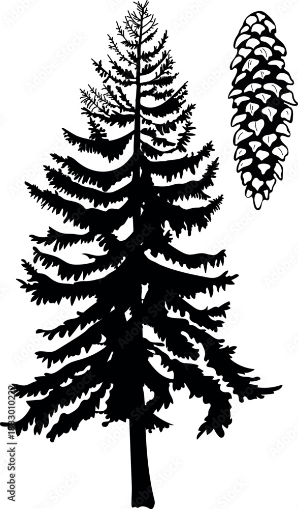 Fototapeta premium Black silhouette of big spruce tree cone in realistic style isolated on white background