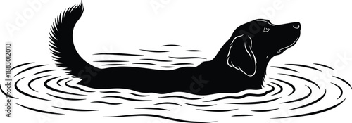 Black dog silhouette swimming in water with ripples, retriever or labrador hunting dog in lake, aquatic pet animal vector illustration, isolated on white