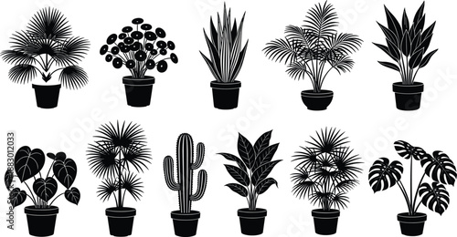 Black houseplant silhouettes collection, indoor potted plants set, botanical garden vector icons, minimalist home decor elements, tropical foliage greenery graphics, nature isolated illustrations.