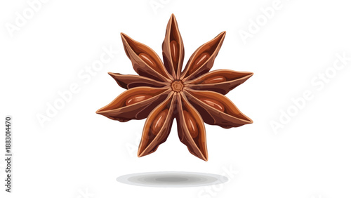 Precisely illustrated star anise pod, a visually striking culinary botanical element, highlighted for its unique aesthetic and aromatic qualities in