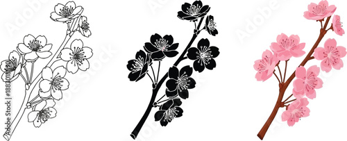 Collection of cherry blossom branches in outline silhouette and color vector art perfect for spring design elements and floral illustrations