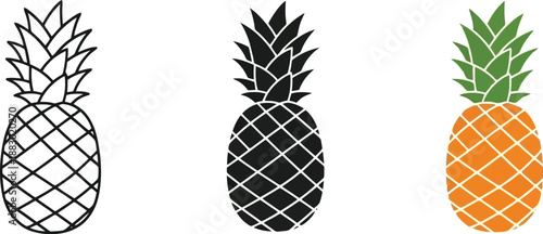 Collection of pineapple icons including outline silhouette and colored vector graphics for tropical themes and food design