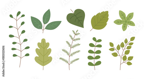 Collection of various green leaves and branches in a flat vector style. Minimalist botanical illustration set perfect for nature-themed designs, eco-friendly branding, and forest patterns.