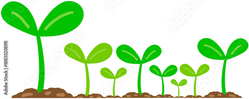 Sprout Illustration