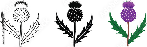 Collection of thistle illustrations including line art silhouette and color vector graphics for design projects