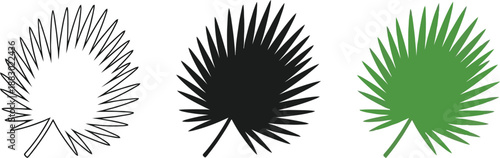 Set of palm leaf icons in outline silhouette and green vector styles representing nature and tropical themes for design