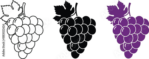Collection of grape icons in outline silhouette and color representing fruit and harvest for design elements