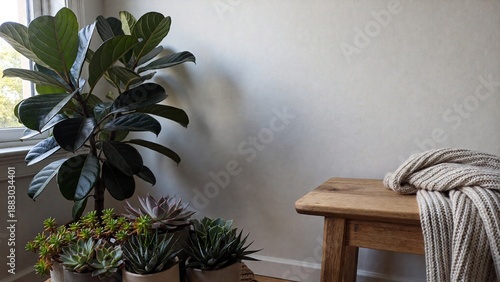 Minimalist Home Interior with Natural Light and Plants