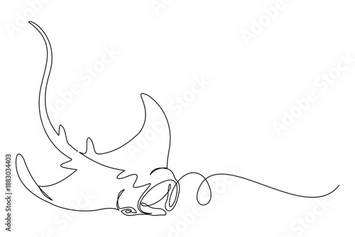 continuous line drawing of a stingray.eps
