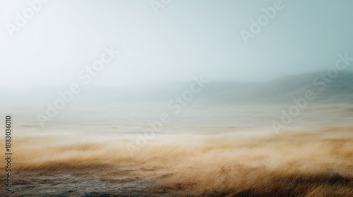 Wallpaper Mural Foggy, misty day in the countryside with a field of tall grass Torontodigital.ca