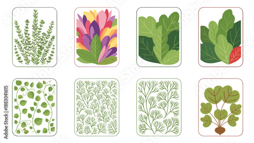 Artistic collection of stylized plant leaves and fresh herbs, perfect for botanical themes or packaging designs like seed packets, showcasing vibrant greenery and natural beauty.