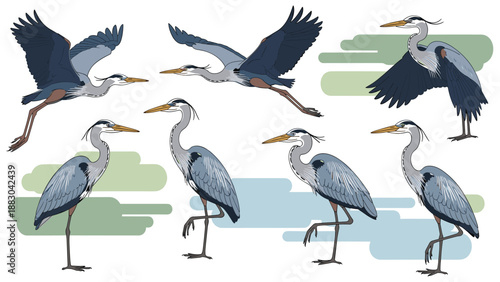 Dynamic collection of grey heron illustrations, showcasing these graceful birds in various natural actions, including elegant flight, poised standing, and tranquil wading in water.