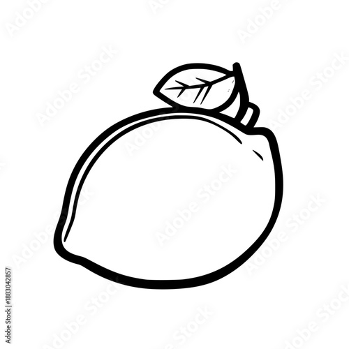 bright, minimalistic citrus delight | Clean, isolated vector art for creative projects.