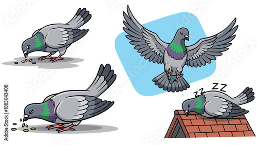 Adobe Illustrator Artwork