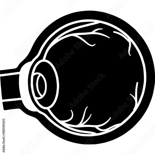 Simplified Anatomical Cross-Section of Eyeball Silhouette Diagram