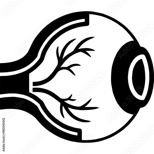 Eye Anatomy Cross-Section Silhouette Icon
