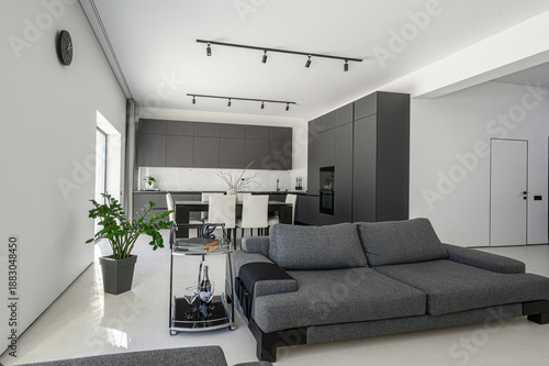 Sleek minimalist living-dining space with grey sofa, dark cabinetry, track lighting, white walls, dining set, potted plant, glass bar cart — clean, modern aesthetic.