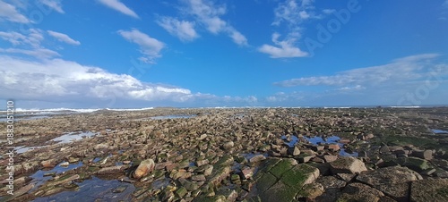 Rocky ocean shore at low tide under blue sky