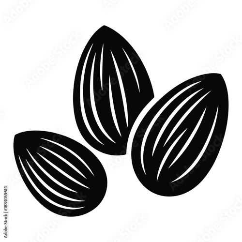 Almond Kernels Nuts Vector Illustration Isolated Design Template Concept of Healthy Food Snack Organic Diet Food Product Ingredient Detailed Image