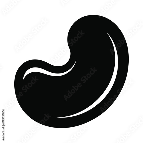 Kidney Bean Vector Illustration Isolated Design Element Concept of Health Food Vegetarian Diet Food Product Detailed Image of Organic Raw Food