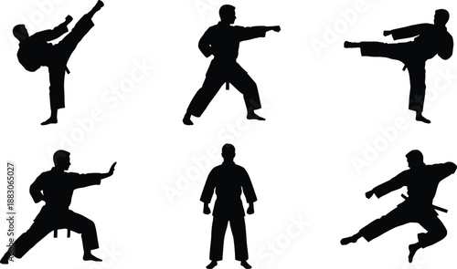 Martial arts silhouette poses set, karate taekwondo fighters kicking punching stances, combat training actions, self defense sport figures, minimal black vector