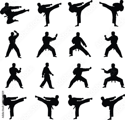 Martial arts silhouette pose collection, karate taekwondo kick fighting stances, combat training figures, sport self-defense action set, minimal black vector