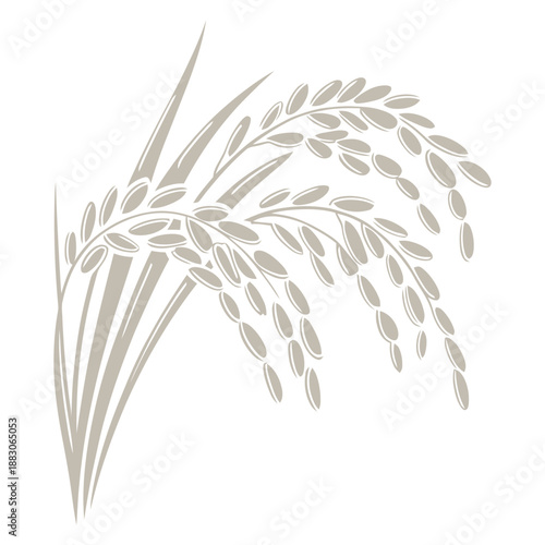 Rice Stalk Grain Agriculture Plant Food Source Crop Field Farm Food Item Asian Staple Seed Harvest Diet Vector Illustration
