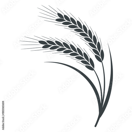 Wheat Stalk Harvest Plant Grain Source Food Agriculture Crop Field Farm Flour Bread Beer Brewery Malt Vector Illustration