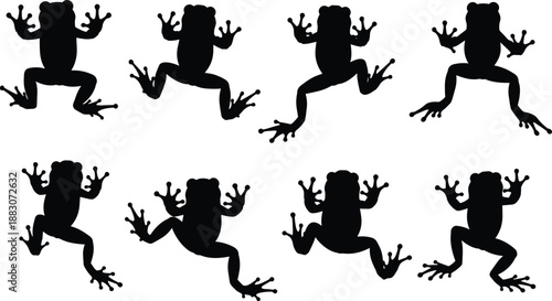 Frog silhouette collection, black jumping amphibian poses, wildlife animal vector set, nature illustration, isolated white background design