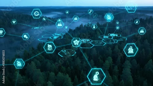 Digital network icons float over forest with technology hexagons connecting trees. Data symbols link above misty woodland. Network technology integrates with forest ecosystem showing digital nature.