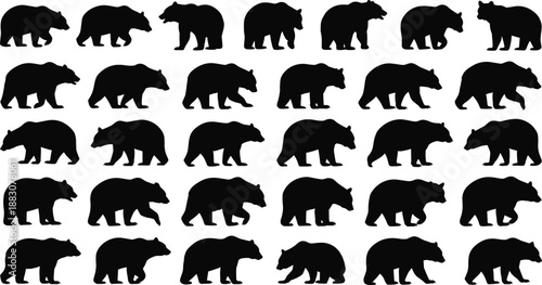 Bear walking silhouette set, black grizzly animal poses, wildlife vector collection, forest mammal illustrations, isolated white background design