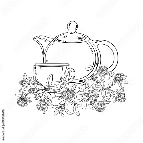 Clove Tea in Teapot aroma beverage Outline Illustration. Vector isolated for Design and Decoration for Cafeteria, Posters, Banners, Cards.