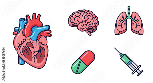 Medical Icons: Heart, Brain, Lungs, Pill, Syringe on White Background