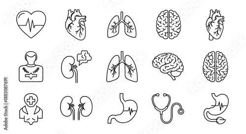 Medical Icons: Heart, Lungs, Brain, Kidneys, Stomach, Doctor, ECG