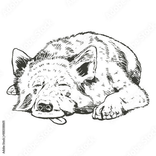 Dog sleeping with tongue out hand drawn