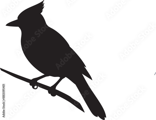 Silhouette of a crested bird perched on a branch against a white background.